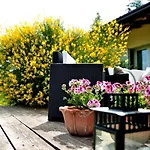 Al Colle * Bertinoro