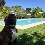 Al Colle Bertinoro