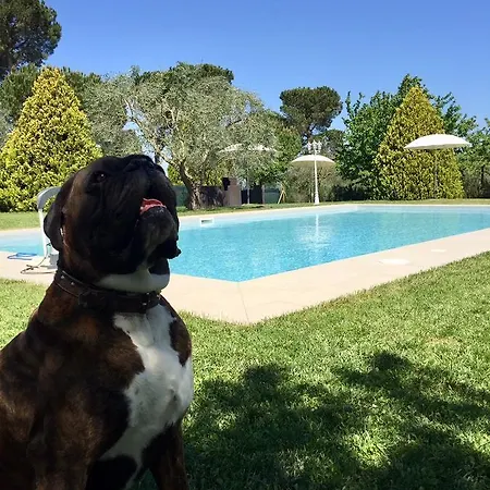 Al Colle Piegaro (Umbria)