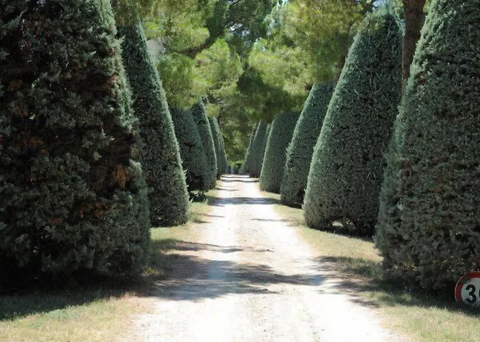 Al Colle * Piegaro (Umbria)