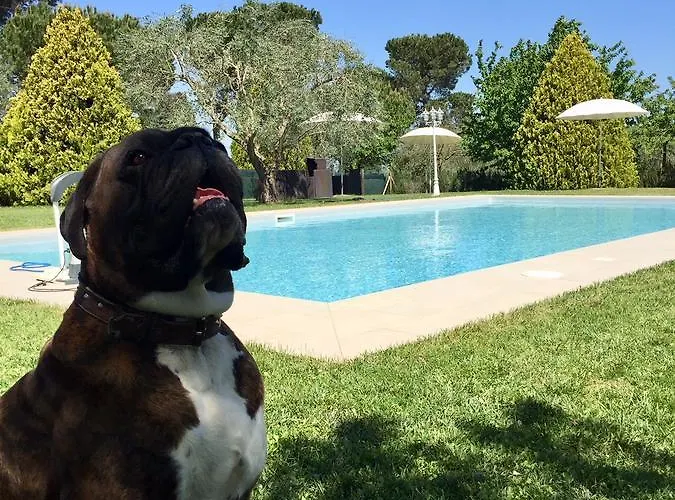 Al Colle Piegaro (Umbria)